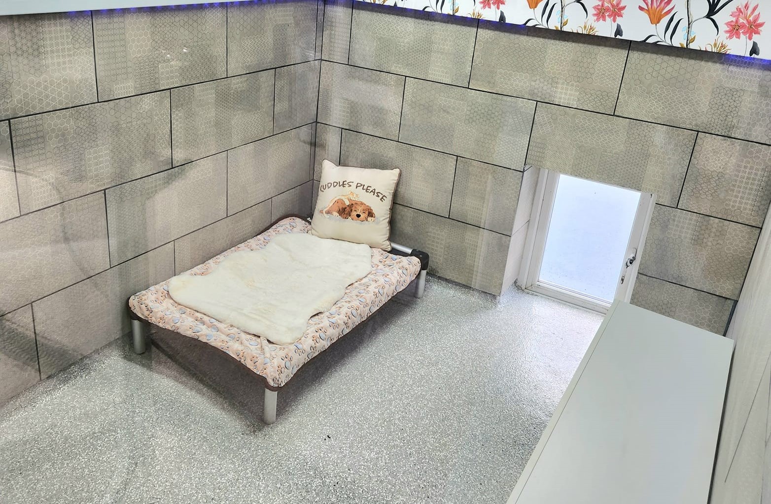 Khách sạn thú cưng lễ Quốc khánh